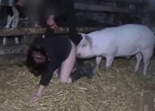 Kinky zoophilic slut enjoying a pig's weird dick