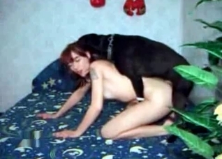 Obedient bitch getting fucked by her dog