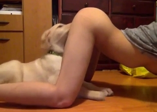 Extremely passionate oral sex with a dog