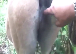 Dude wants to fuck a mare's wet pussy hard