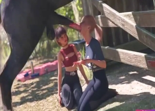 Emily shows how she sucks animated horse cocks