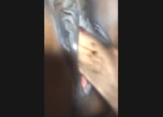 Mare pussy is going to get fisted to the limit