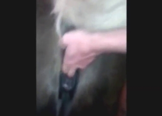 Cute cock slides inside a wet animal pussy here