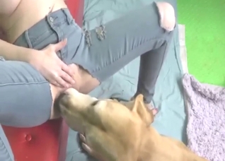 For a hot bitch, she knows how to fuck dogs