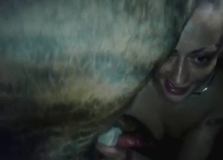 Lady puts her lips around this animal's penis