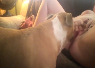 Squirting lady gets licked by a very attentive dog