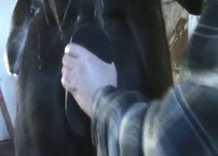 Seduction of a stallionтАж with his mot-used toy