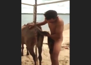 Guy and mare end their date on the beach with sex