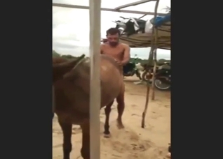 Guy and mare end their date on the beach with sex