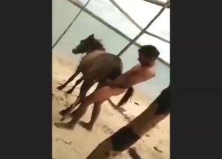 Guy and mare end their date on the beach with sex