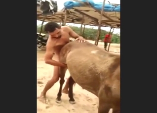 Guy and mare end their date on the beach with sex