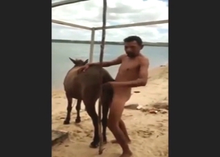 Guy and mare end their date on the beach with sex