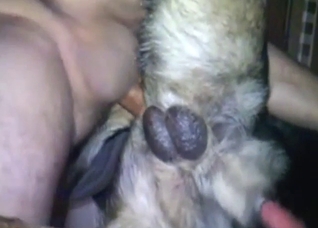 Tense bestiality porn with a guy fucking dog