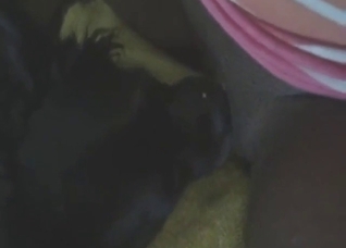 Unforgettable bestiality sex with lots of hot oral