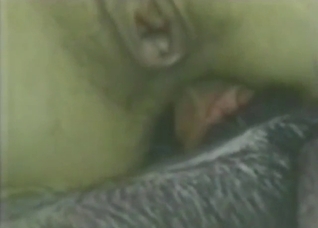 Horny zoophile is seeking legit anal orgasms