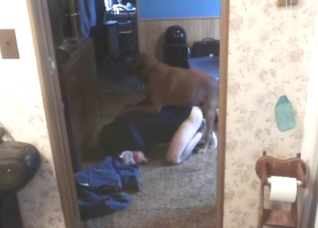 Doggystyle zoo sex with a horny animal taking it