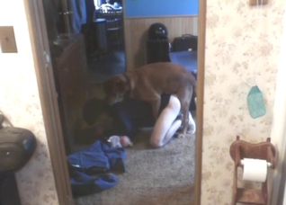 Doggystyle zoo sex with a horny animal taking it