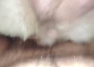 POV zoo XXX with a guy screwing his fave beast