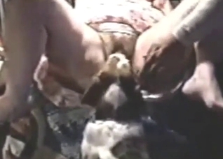 Dog licking a lady's pussy hole in a zoo video