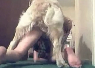 Submissive slut gets destroyed by a puppy