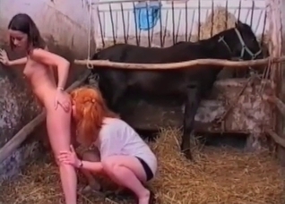 Sexy sisters enjoying their bestiality/incest sex