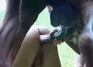 Anal creampie, featuring a horny horse