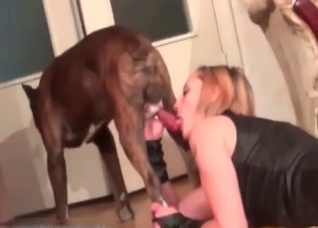 Juicy pussy getting violated by a hung doggo