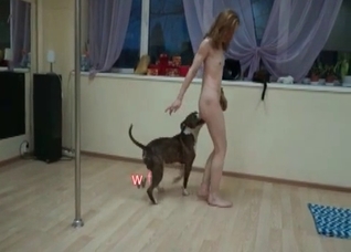 Dirty dog enjoying this stripper's pussy