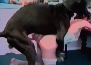 Wet pussy savagely drilled by a Doberman