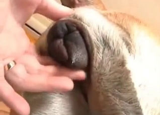 Doggo that enjoys deep anal fingering